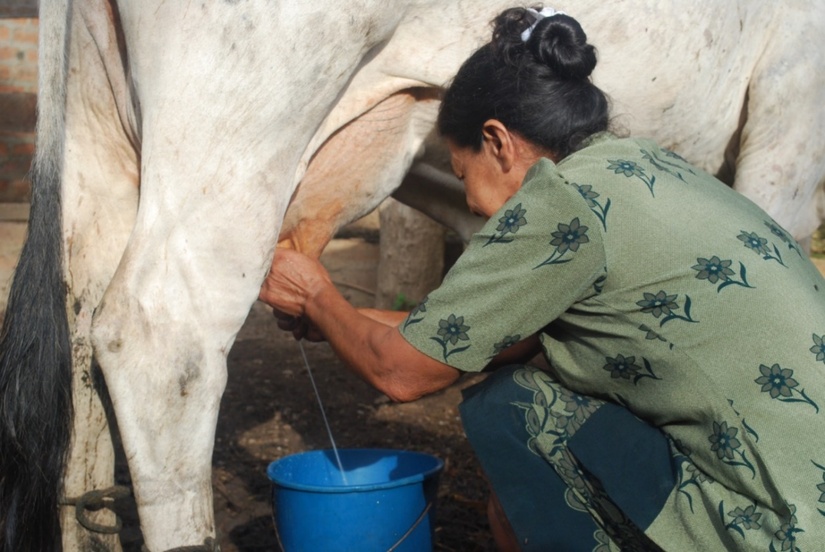 LECHE2