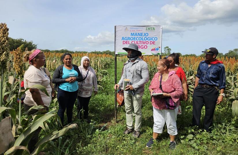 SORGO1