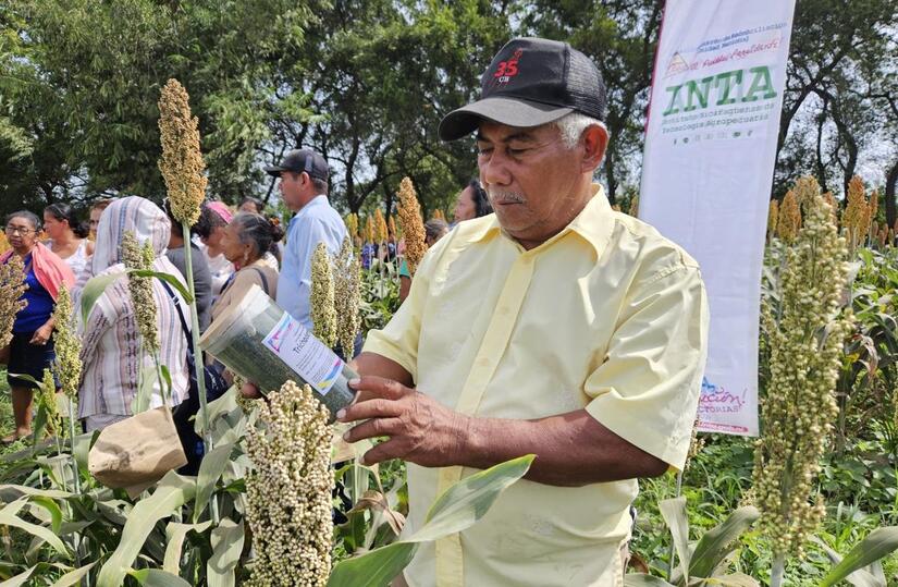 SORGO2