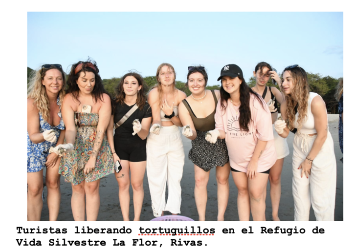 tortugas-2