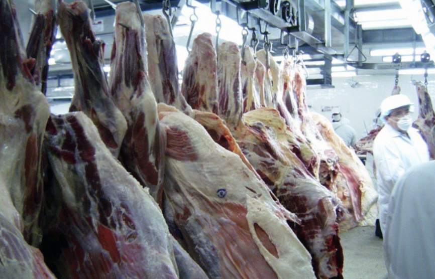 carne-3