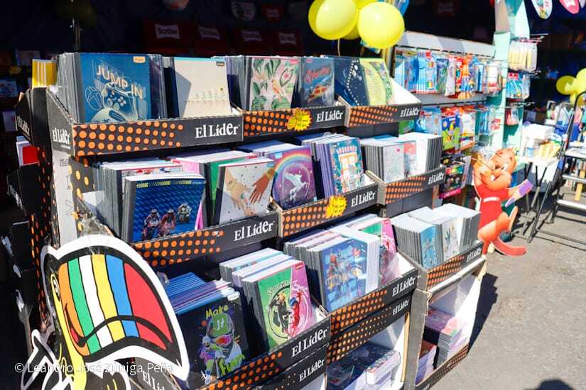 Feria-Escolar26