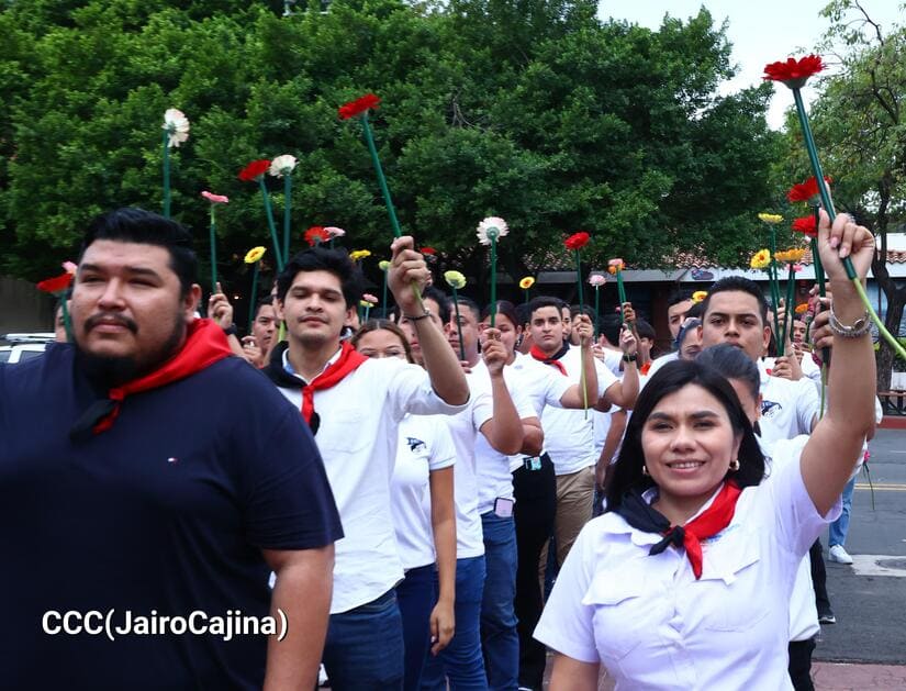 FLORES-(4)