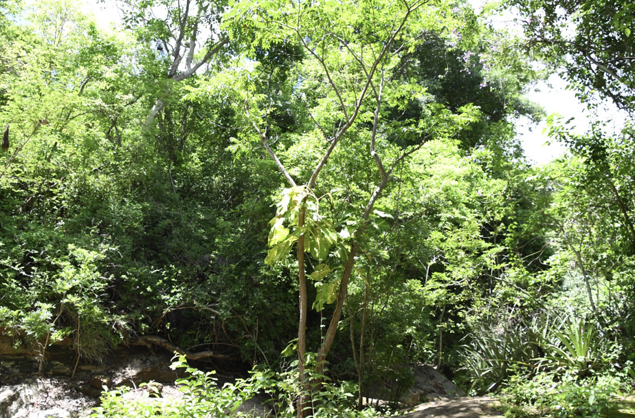 reserva-1