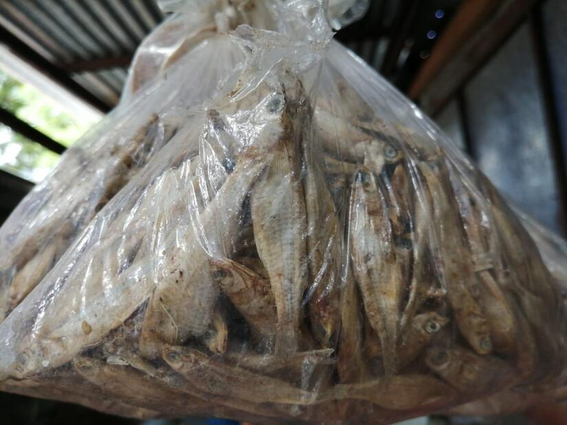 INPESCA2