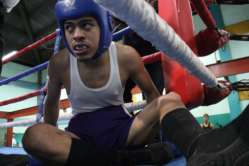 BOXEO-(1)
