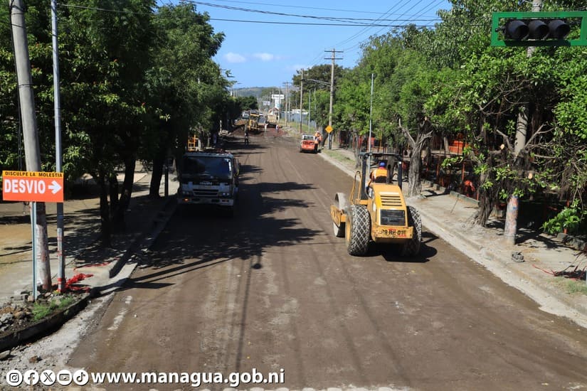 CALLE20