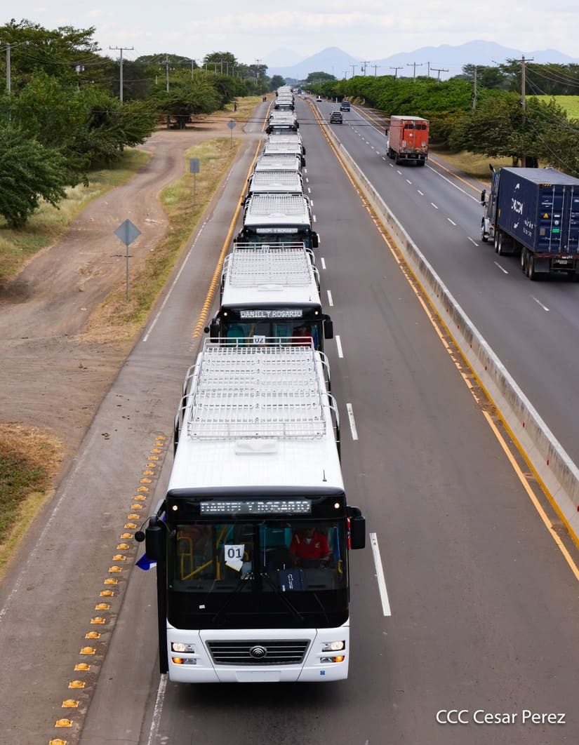 BUSES-(1)
