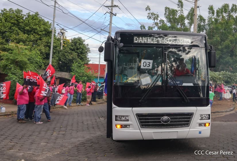 BUSES-(12)