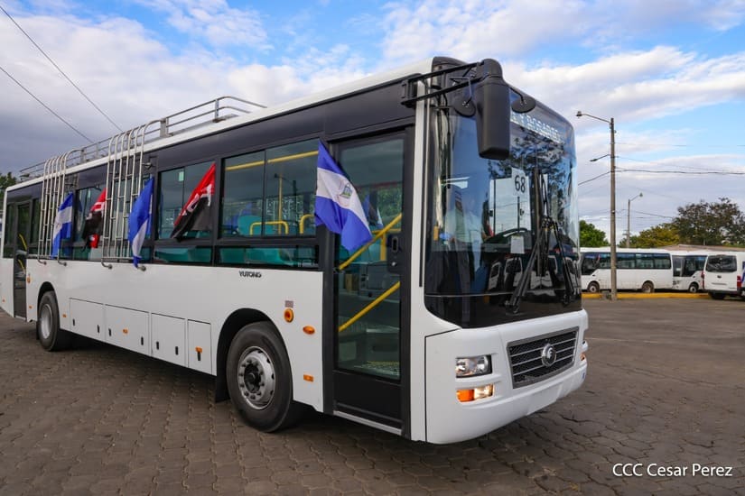 BUSES-(23)