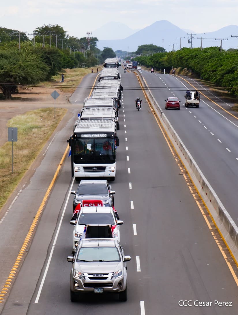 BUSES-(29)