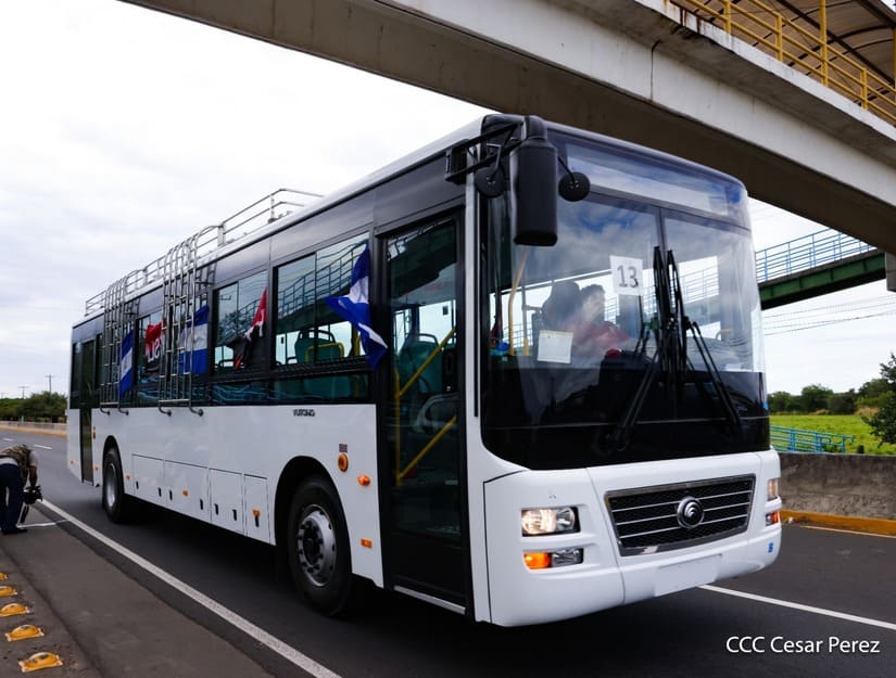 BUSES-(5)