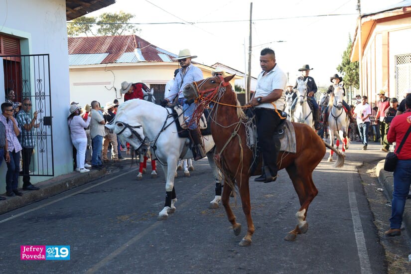 HIPICA-(15)