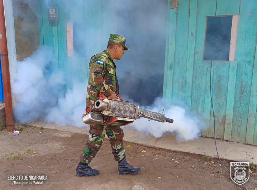 FUMIGACION2