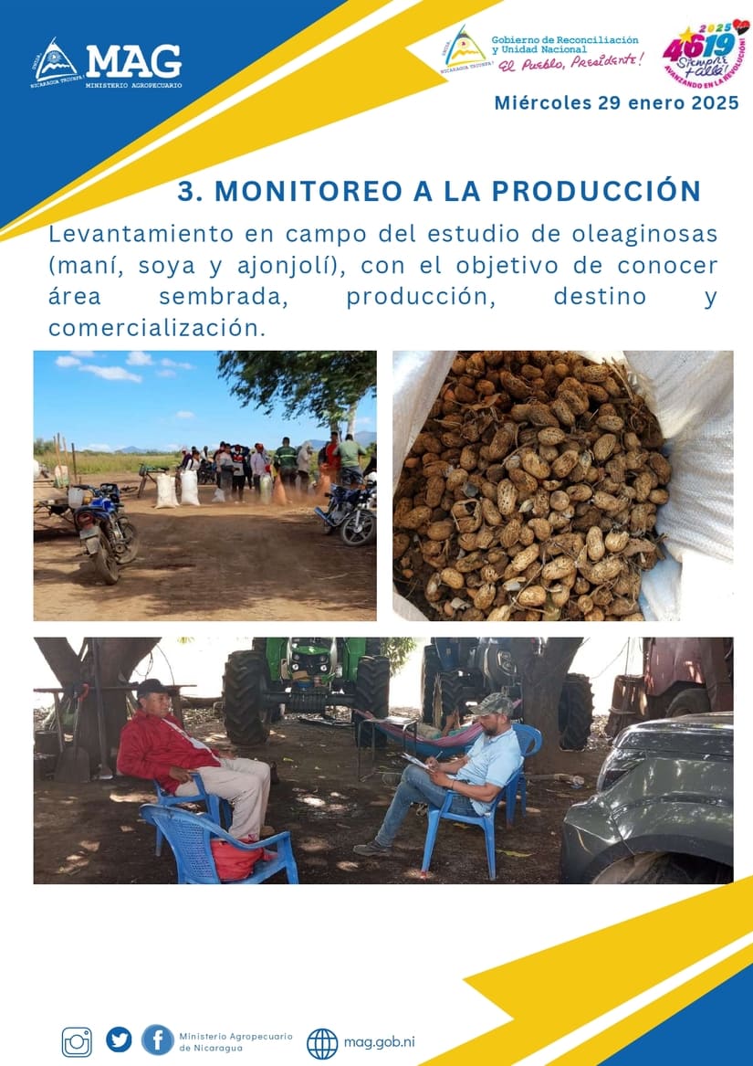MAG3