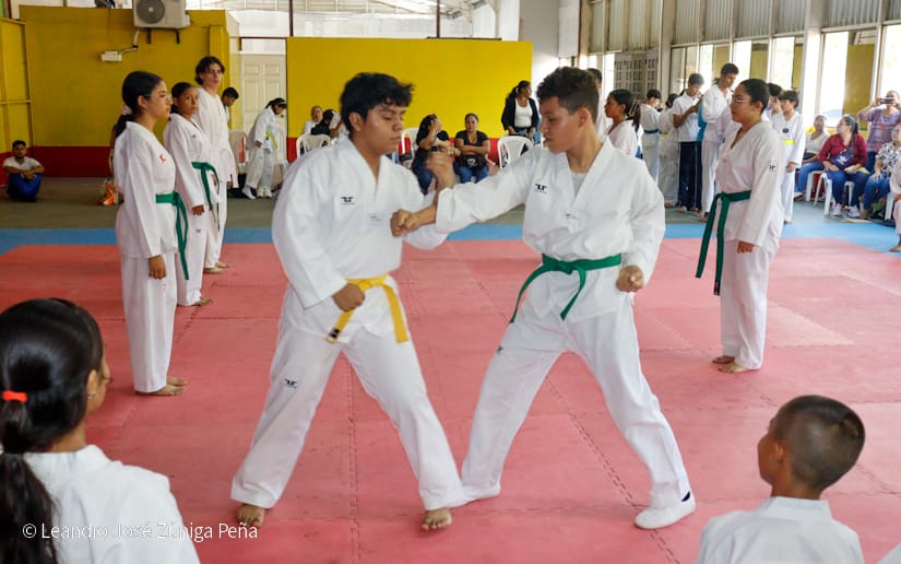 ACADEMIA13