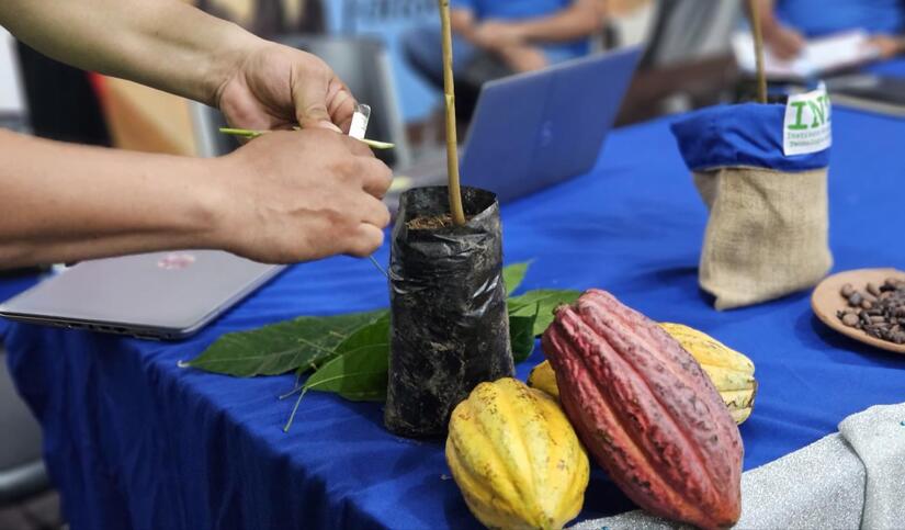 CACAO3
