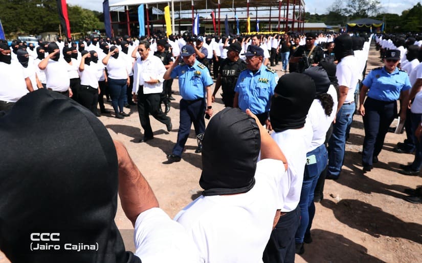 POLICIA33