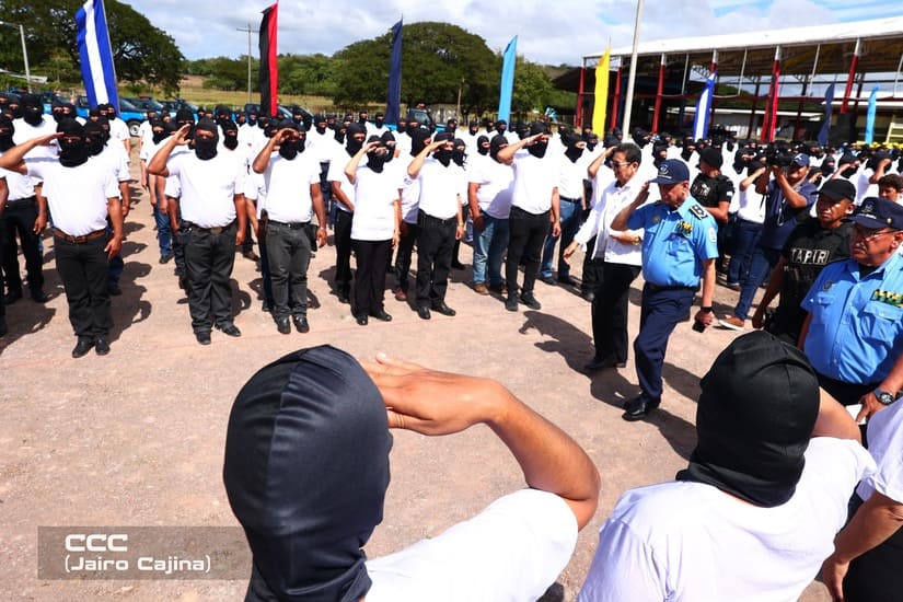 POLICIA6