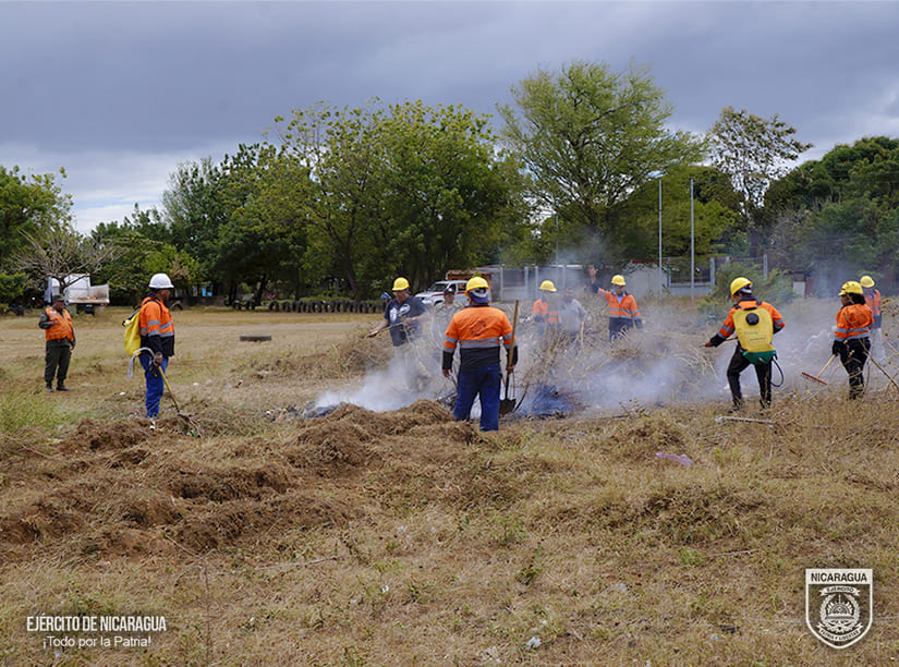 DEFENSA8