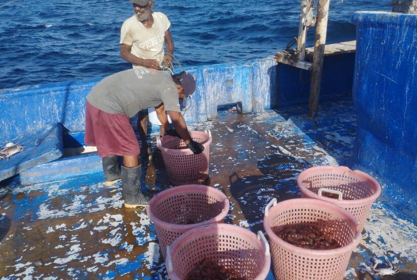 INPESCA-(6)