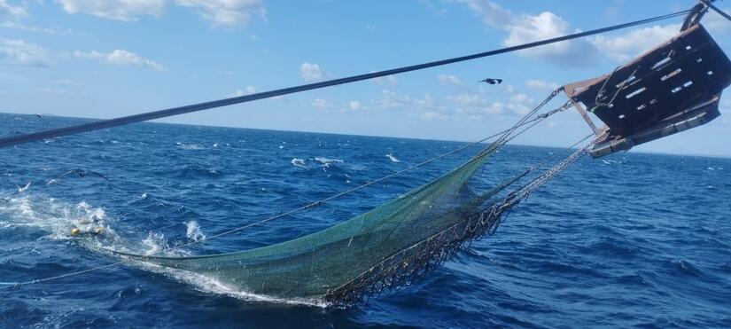 INPESCA-(9)