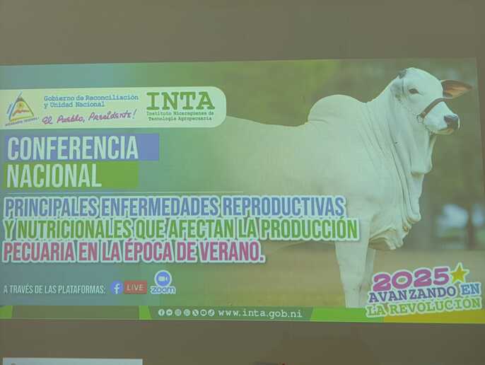 inta6