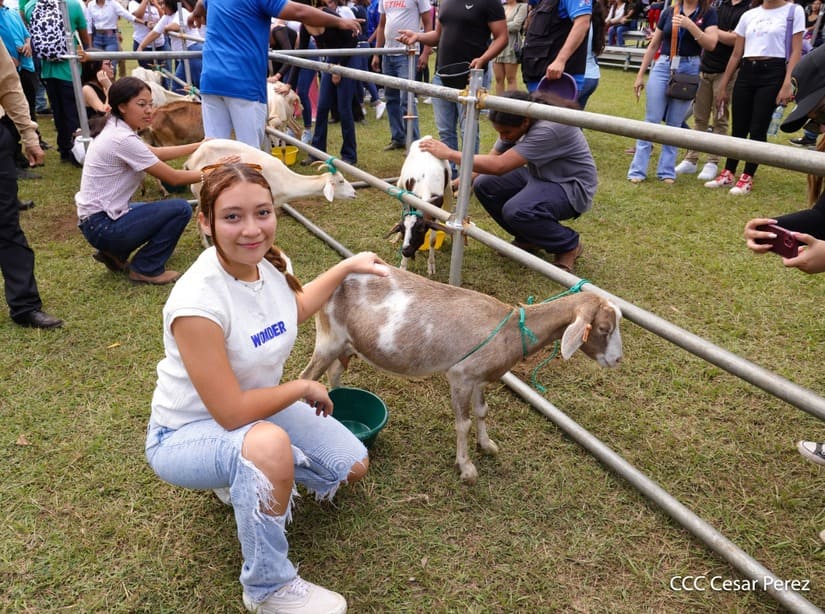 AGRARIA28