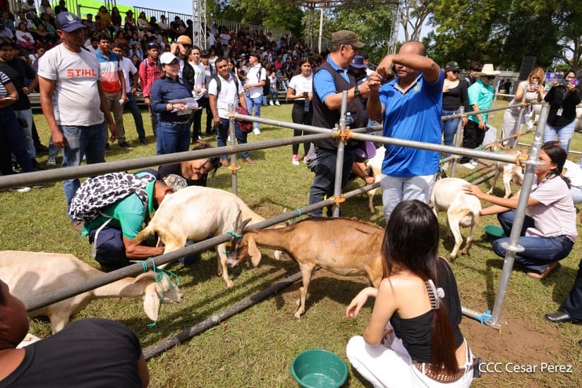 AGRARIA30