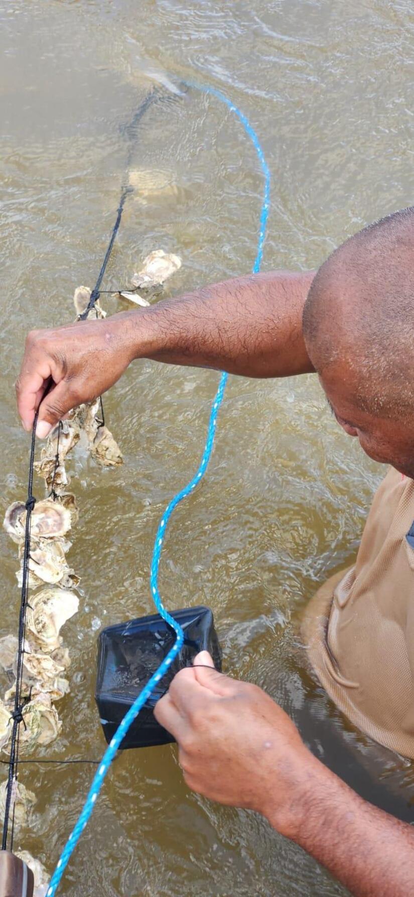 INPESCA-4