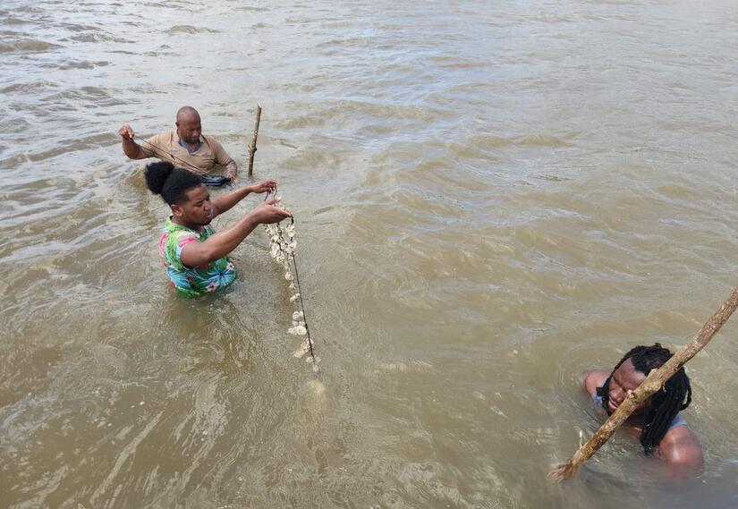 INPESCA-8
