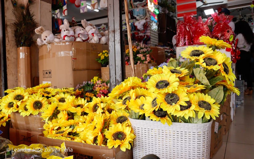 Mercado-oriental-21