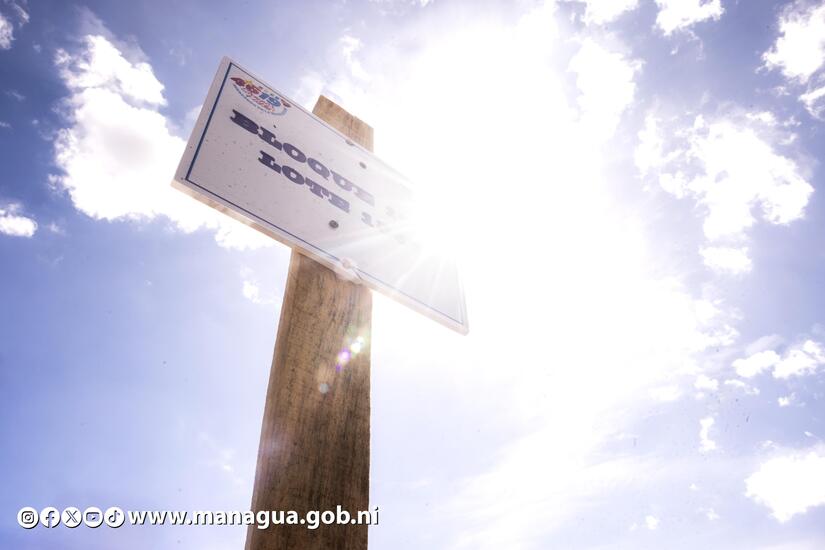 ALMA-(10)