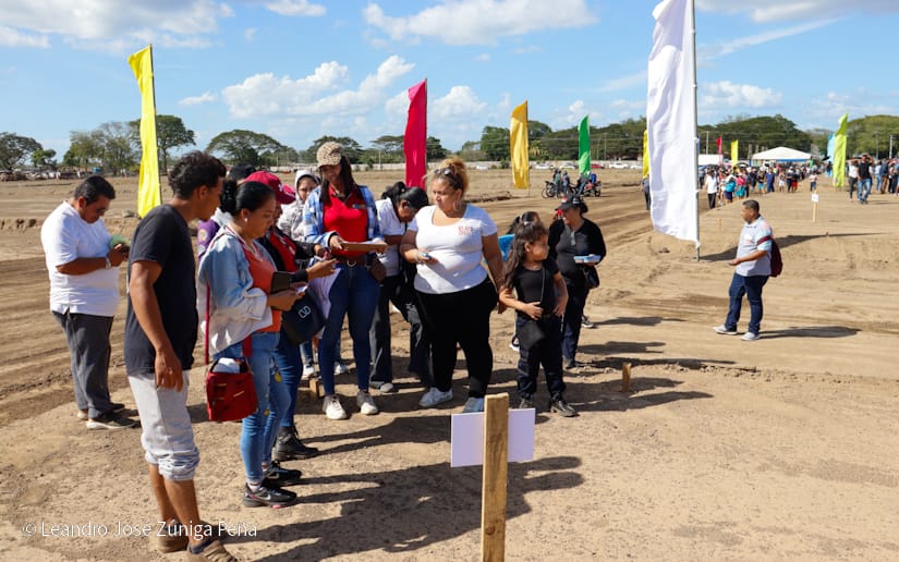 LOTES19