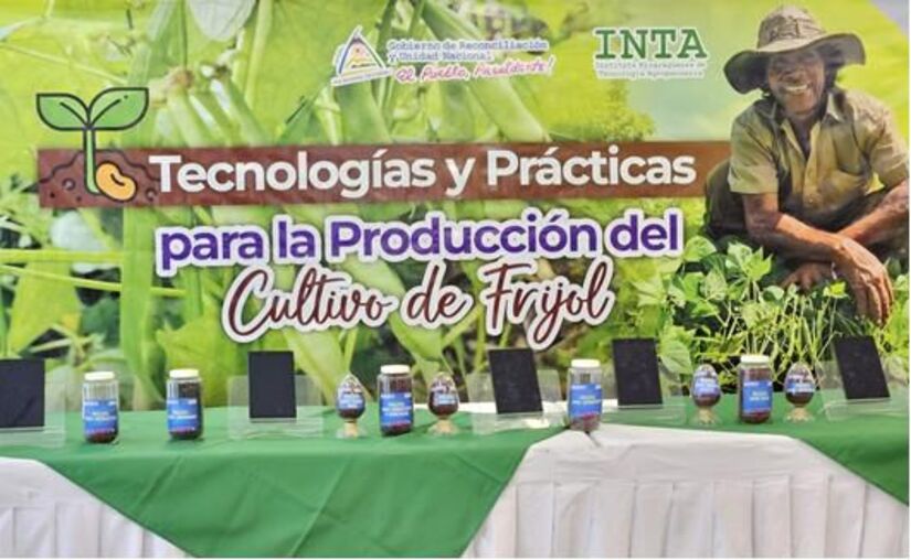 INTA2