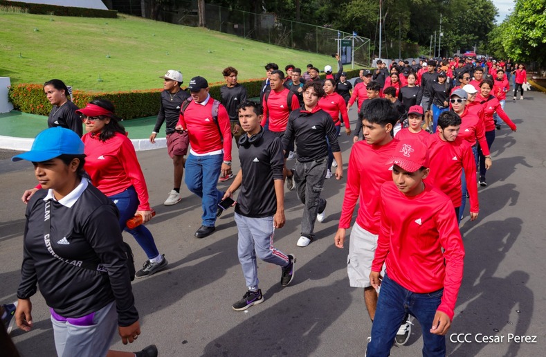 LOMA-3