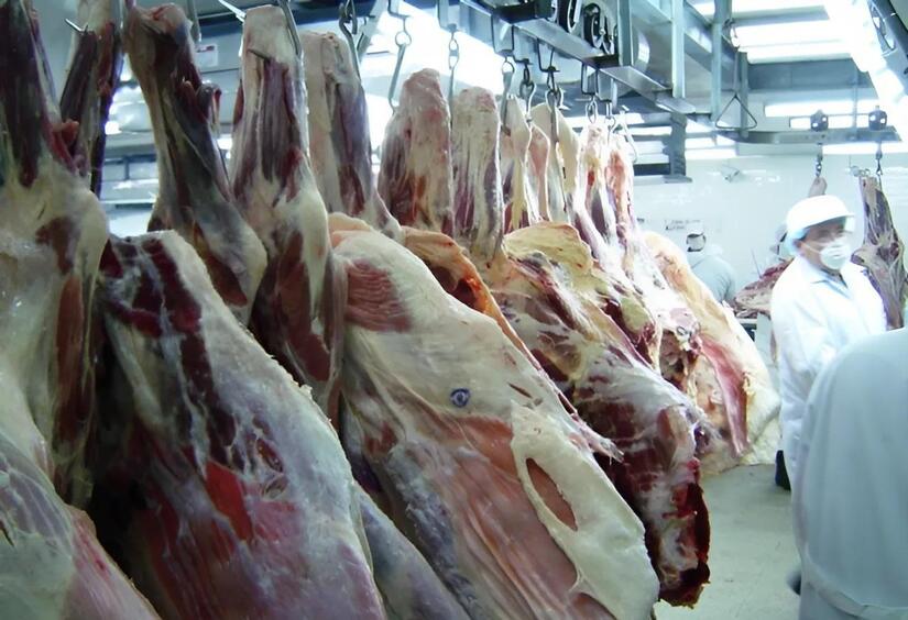 CARNE-(1)