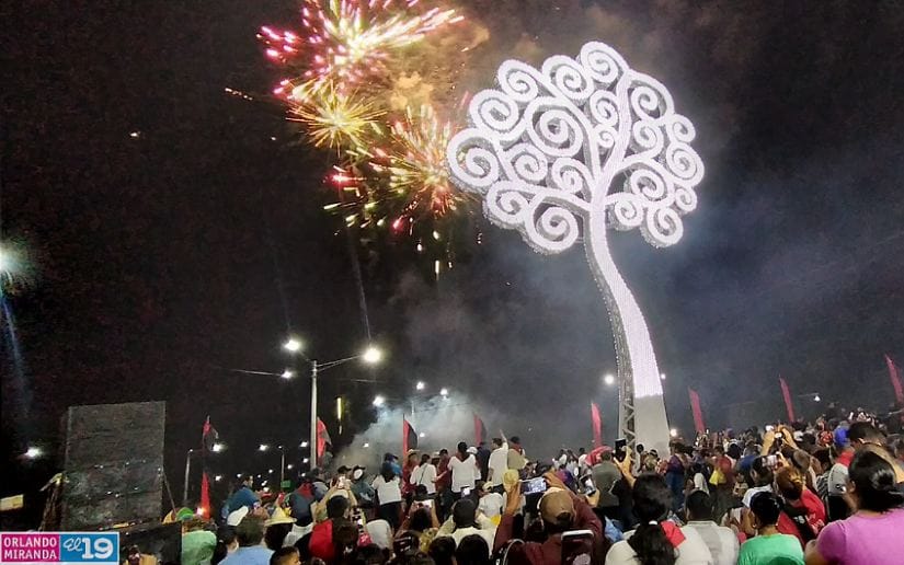 ARBOL10