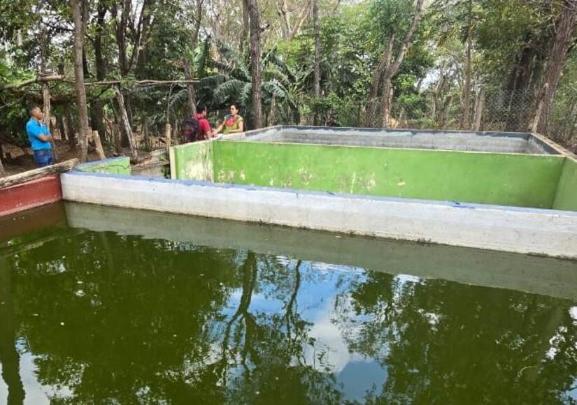 INPESCA8