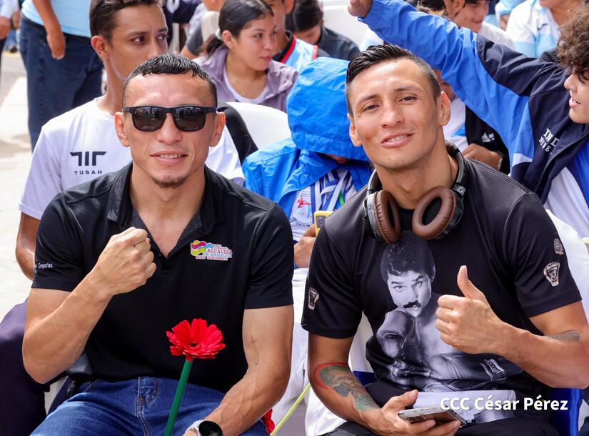 FLORES3