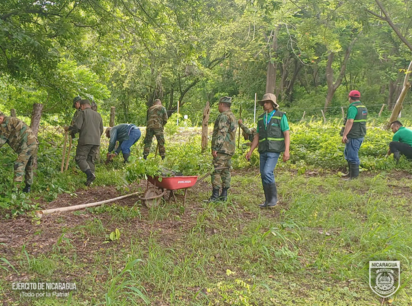 AMBIENTAL1