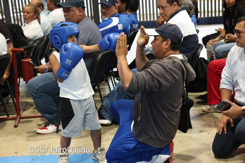 BOXEO15