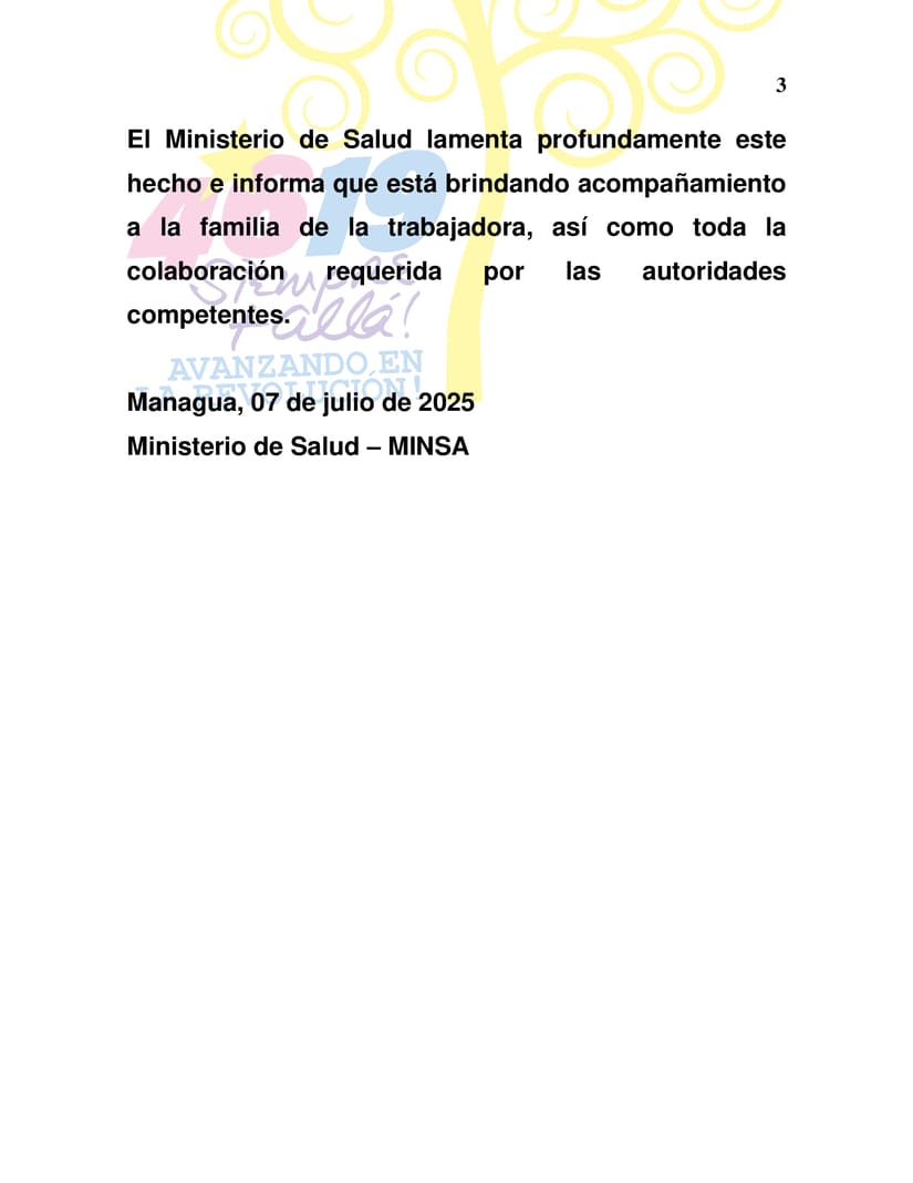 MINSA3