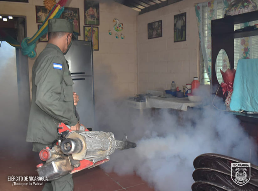 FUMIGACION4