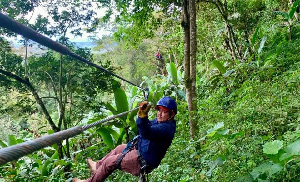 CANOPY2