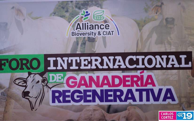 FORO1