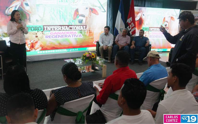 FORO13