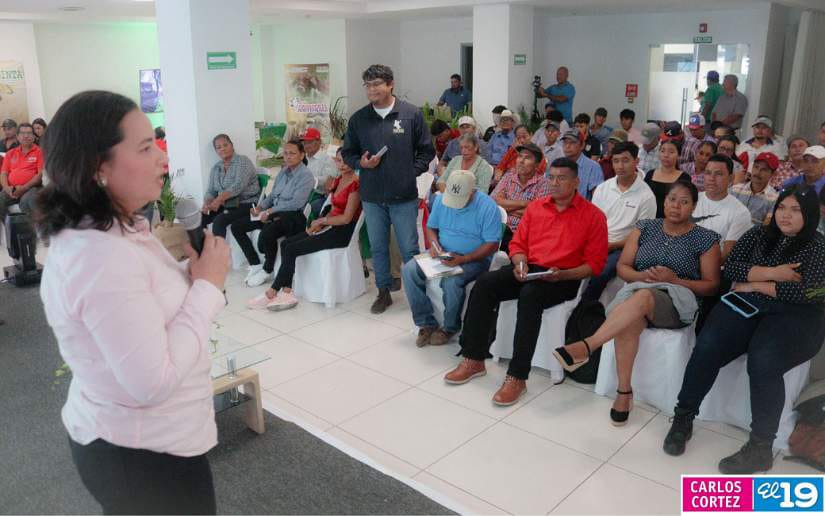 FORO16