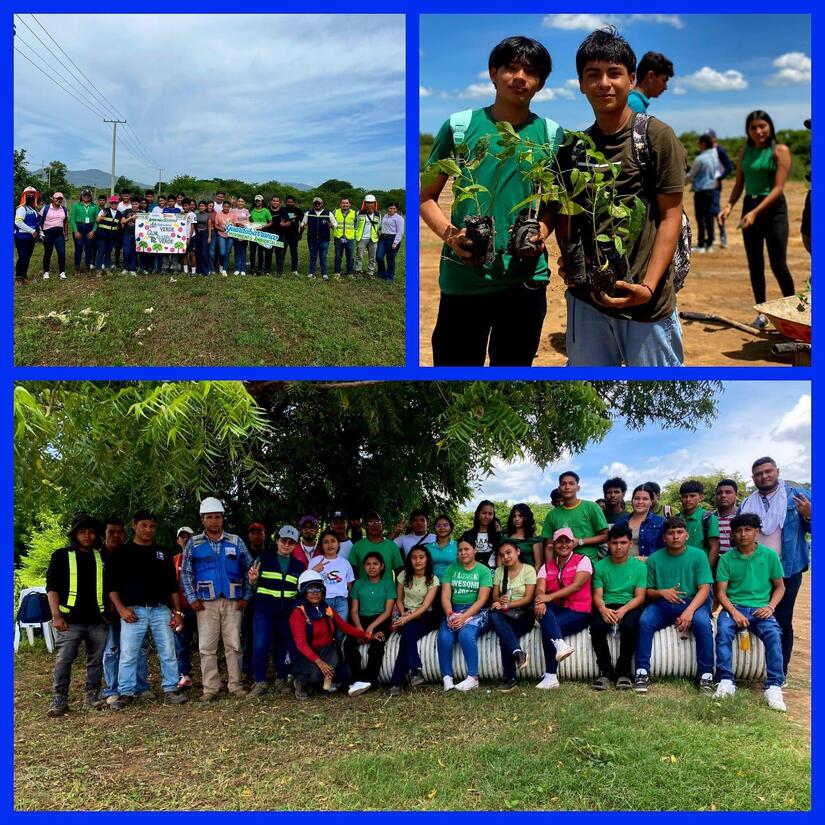 VERDE6