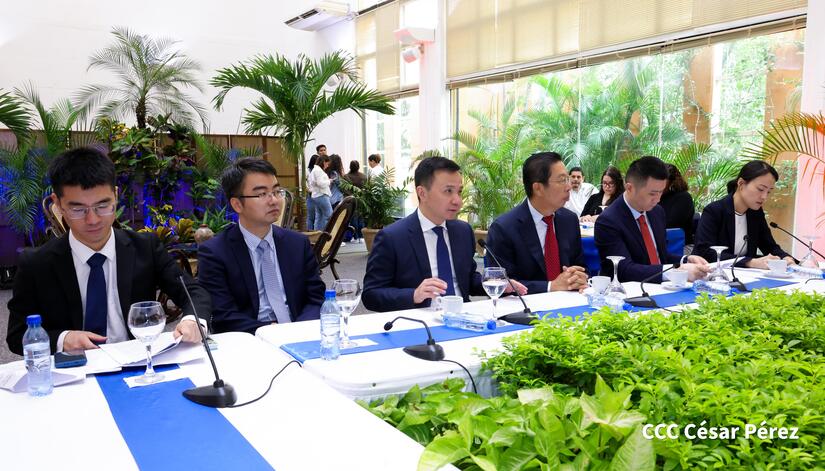 CANCILLERIA-(12)